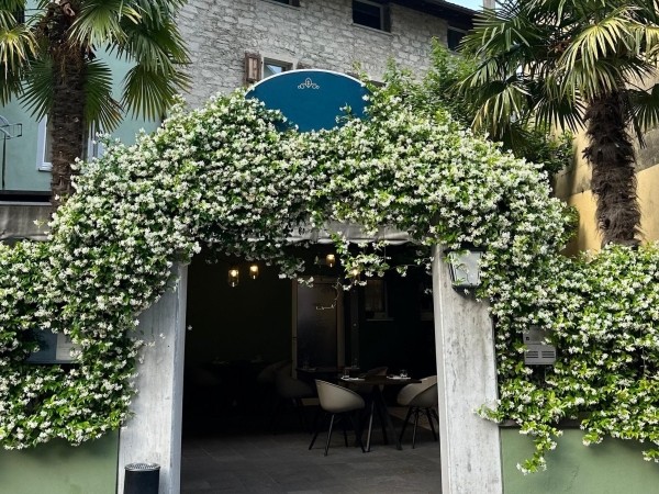 Ristorante vegano a Riva del Garda