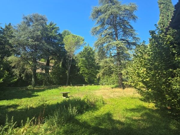 Renovierungsbedürftiges Rustico oberhalb von Garda - foto 3