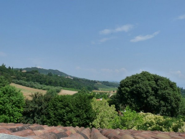 Cascina storica ristrutturata nel Garda meridionale - foto 11