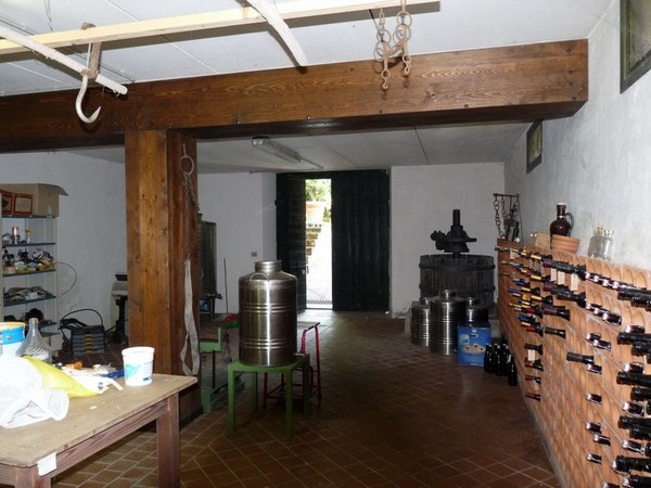 Cascina storica ristrutturata nel Garda meridionale - foto 4