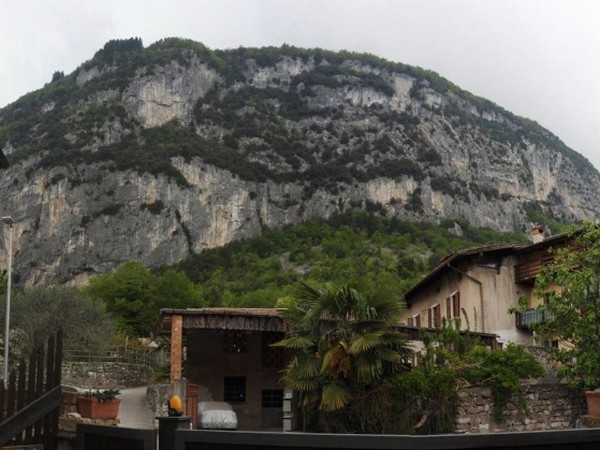 Rustico sulle colline sopra Arco - foto 11