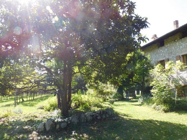 Rustico beim Cavedinesee - foto 9