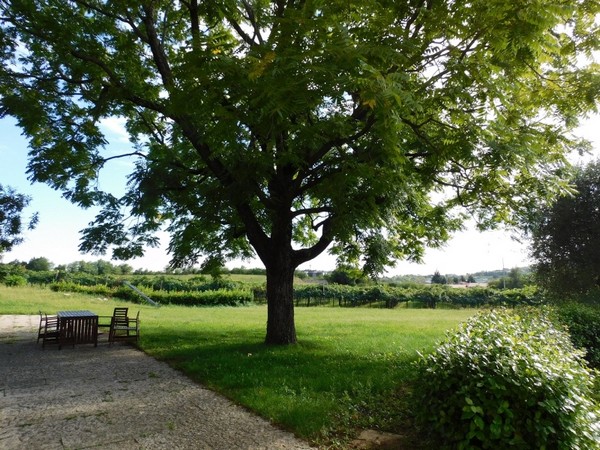 Casale ristrutturato fra le colline della zona di Affi/Bardolino - foto 2