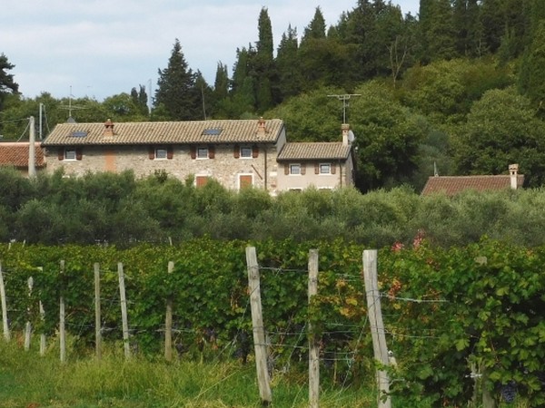 Casale ristrutturato fra le colline della zona di Affi/Bardolino - foto 10