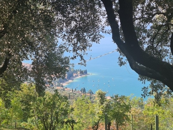 Villa opberhalb von Torri del Benaco - foto 9