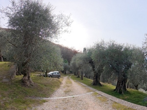 Rustico con splendida vista-lago a Malcesine - foto 9