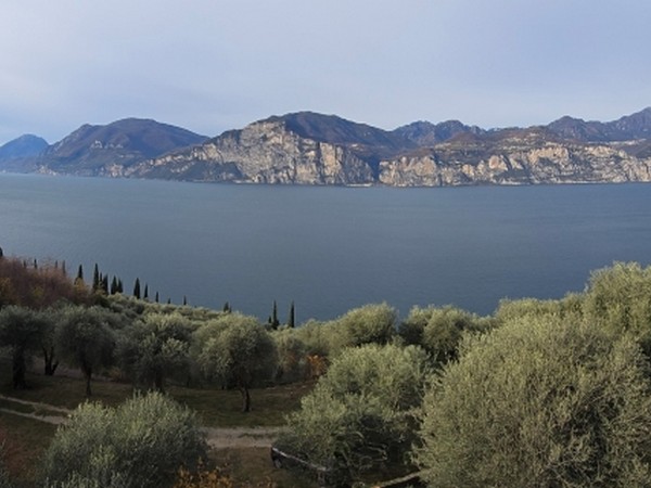 Rustico con splendida vista-lago a Malcesine - foto 10