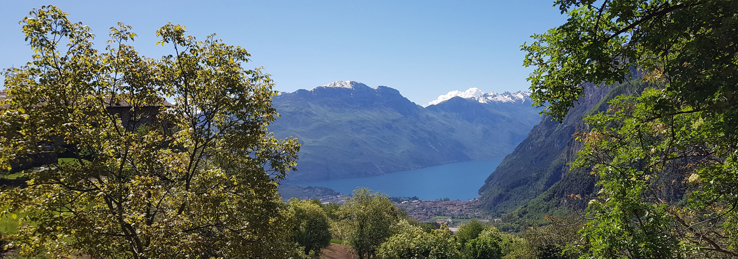 Dove siamo -